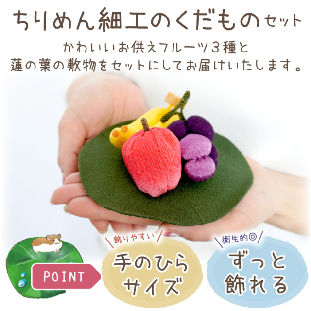 ペット用 ちりめん 果物 フルーツ セット 小 蓮の葉 国産 お供え物