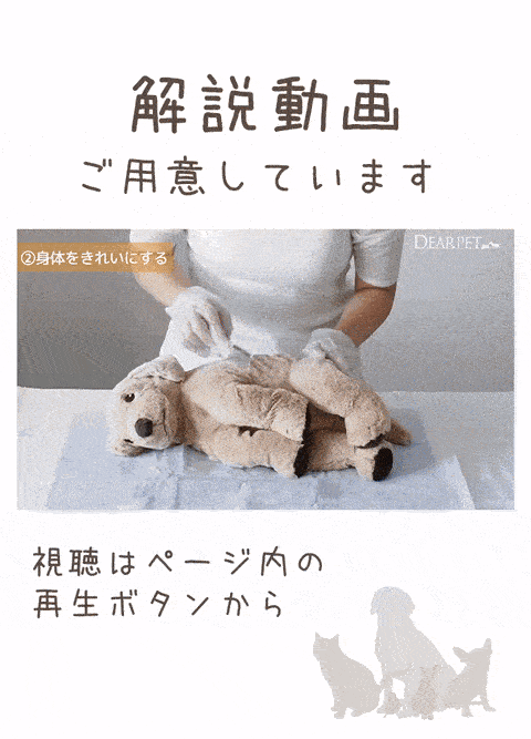 ペット用 ペット エンゼルケア セット 最短 即日発送 衛生処置 ペット