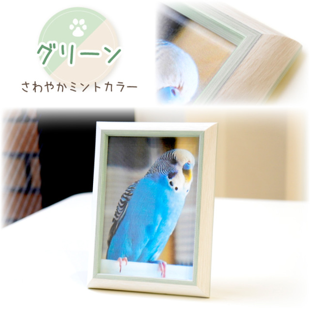 オウムスタンド(コメント用)‼ やさい