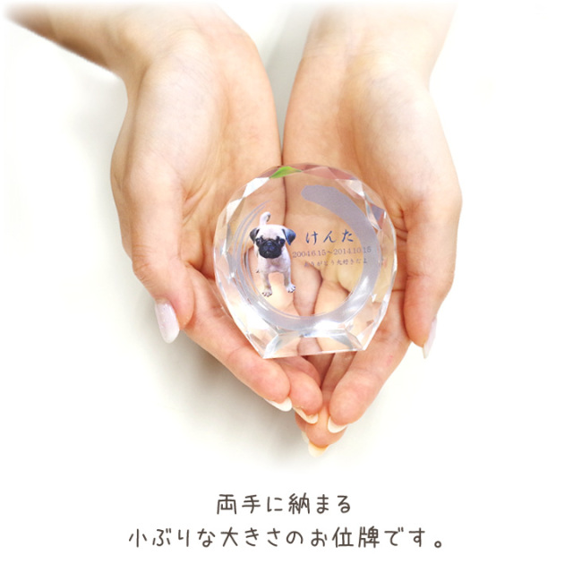 ペット位牌 セレクトクリスタル ミニサイズ - ペット仏壇・仏具・骨壷