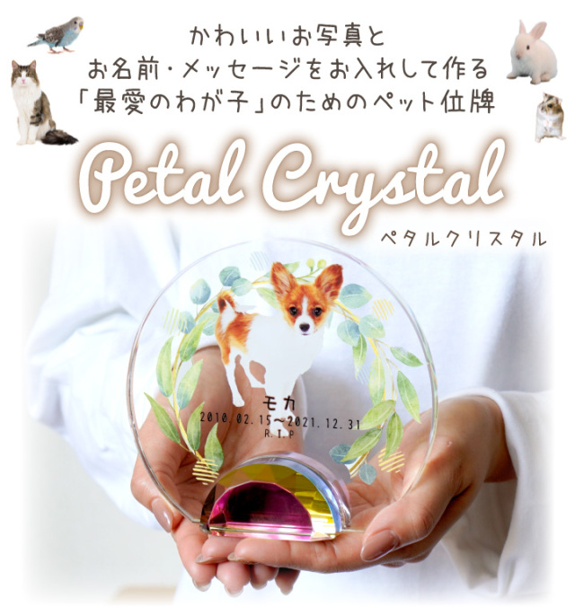 ペット 位牌 ペタルクリスタル 写真 名前 年月日 メッセージ 花柄 フラワー 植物 ボタニカル