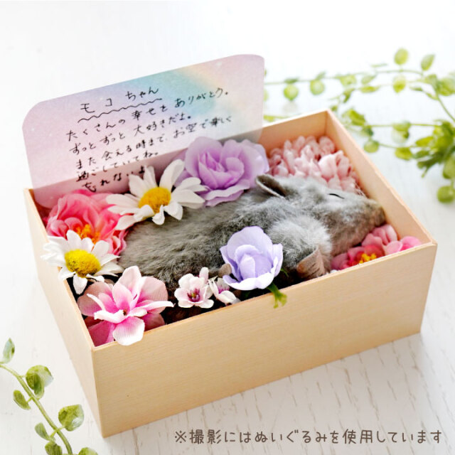 ペット用 ミニ ペット 棺 紙製 窓付き 小動物 【送料無料】 即日発送 