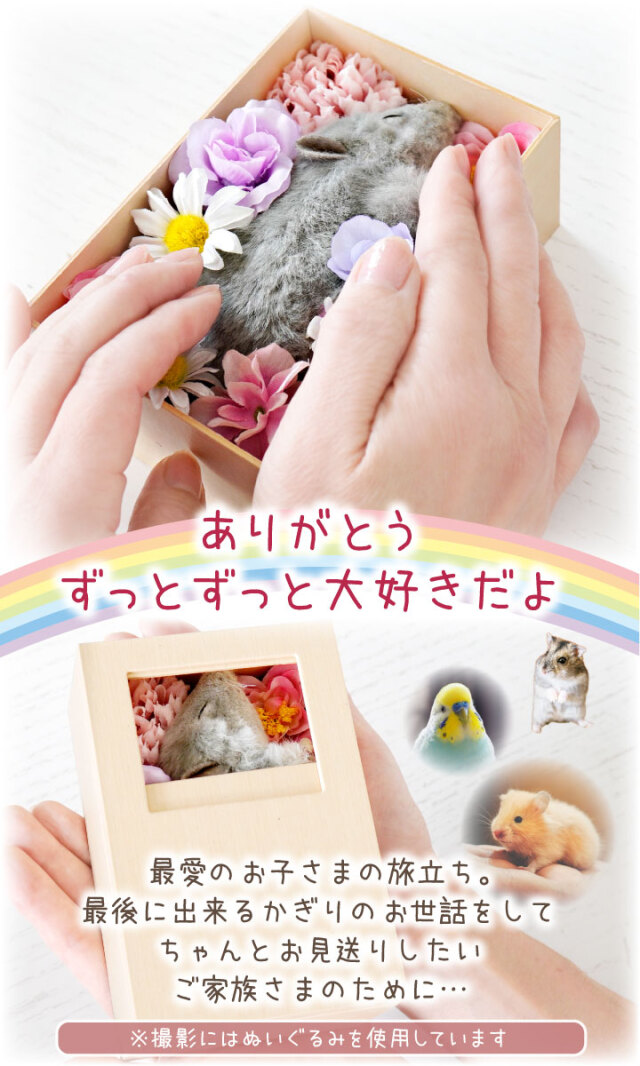 オーダー受付　わんことインコ　ご予約ページ　9/29 オーダー受付 わんことインコ ご予約ページ 9/29 オーダー受付 わんこ