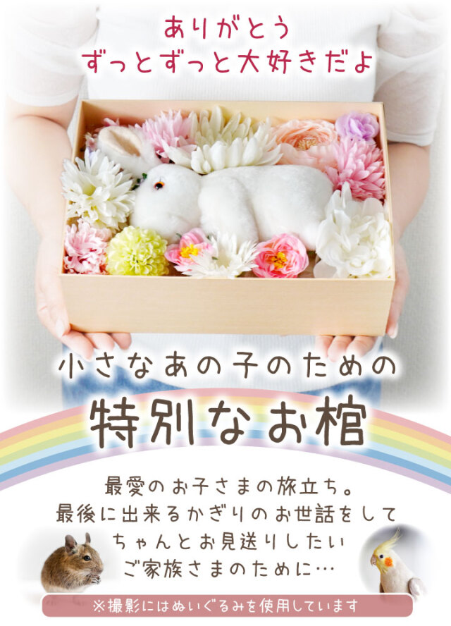 ペット用 棺 ミニ ペット 紙製 窓付き XS 小 【送料無料】 即日