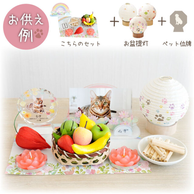 ペット お盆 お迎え カスタム セット お供え お盆飾り ミニ コンパクト