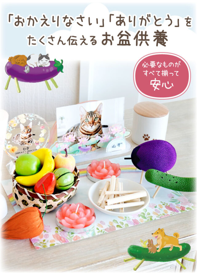 ペット供養 ペット用お盆お迎えセット ペット仏壇 仏具 骨壷 位牌のディアペット