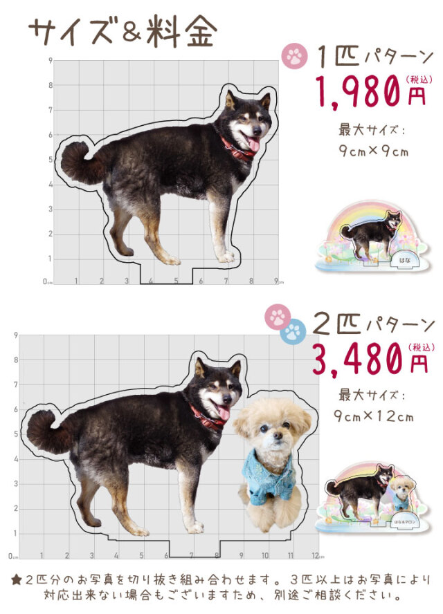 オプション】虹の橋 スタンド 用 ペット 写真で作る うちの子プレート