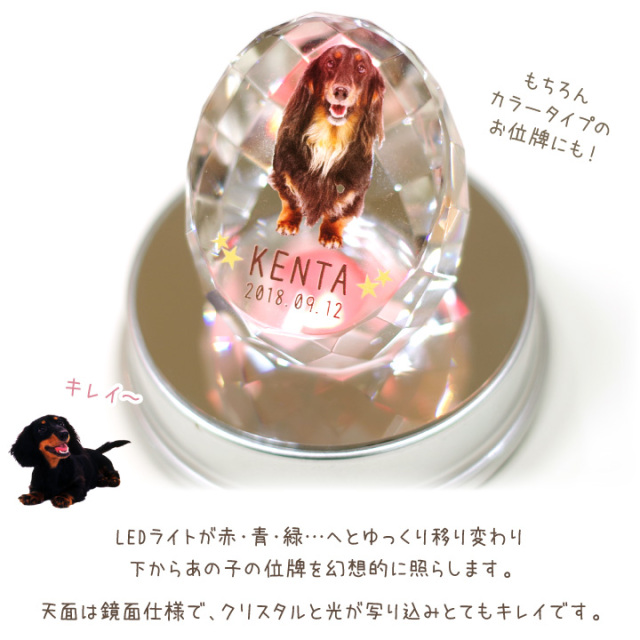 ペット 位牌用 LED ディスプレイ ライト レインボー 台座 【送料無料】