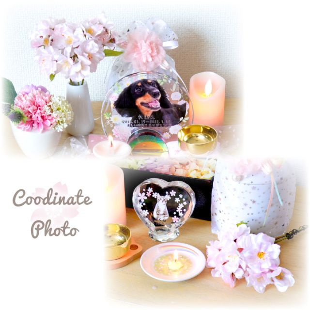 ペット仏具 お供え さくら 桜 造花 ピック 1束3本セット アーティ