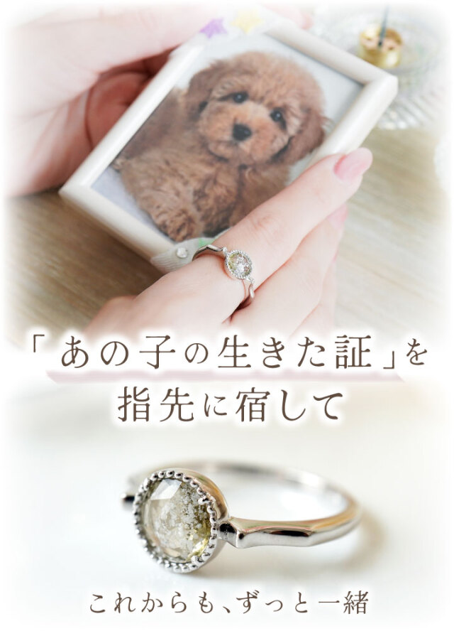ペット 遺骨 リング 指輪 DEAR ディア 