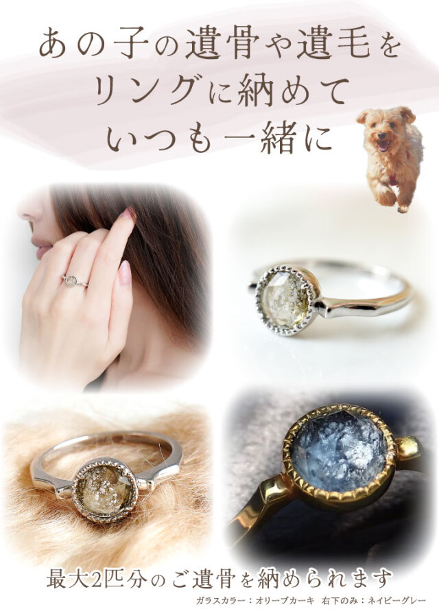 ペット 遺骨 リング 指輪 DEAR ディア 