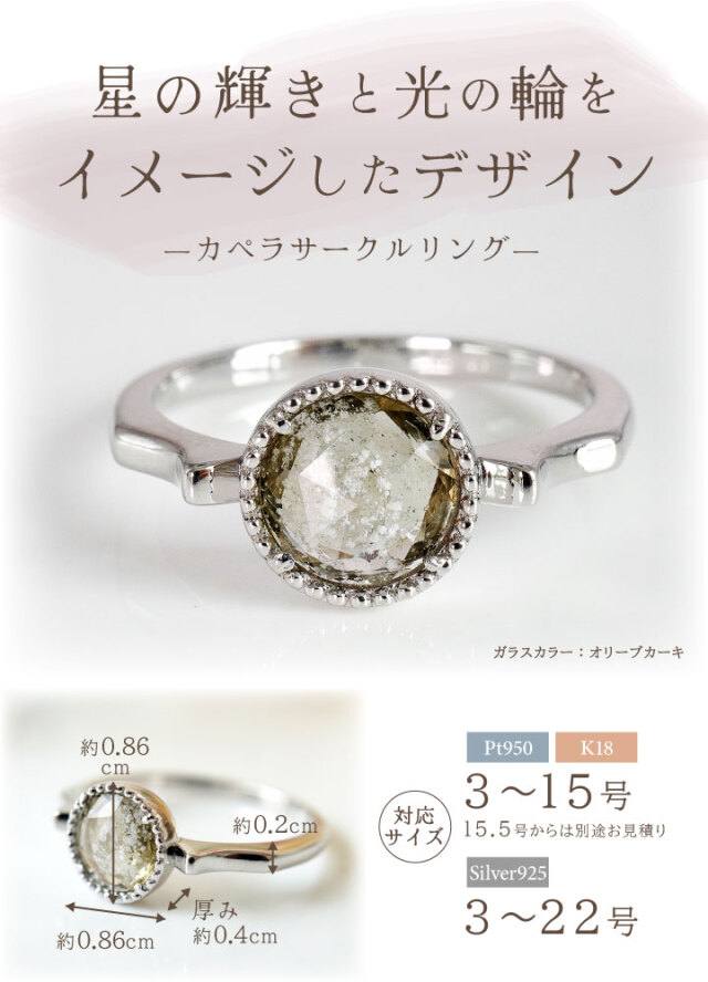 ペット 遺骨 リング 指輪 DEAR ディア 