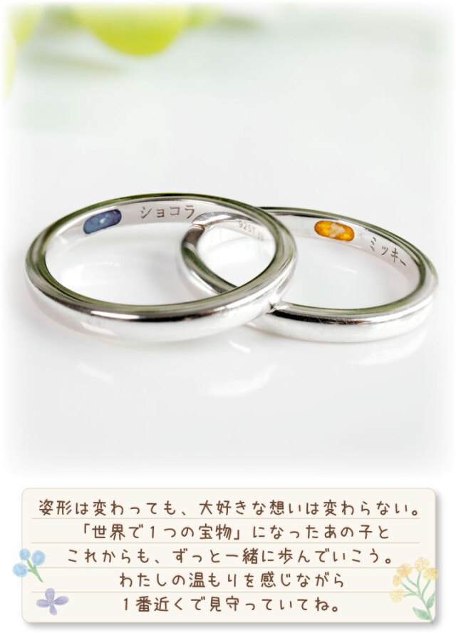 ペット 遺骨リング 指輪 シルバー プロミス リング 名入れ無料 遺骨 
