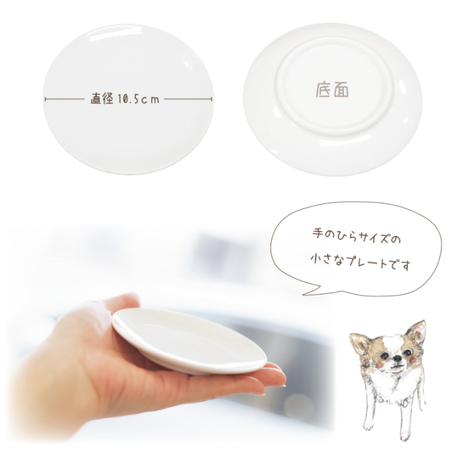 ペット仏具 かわいい ビーグル 名前入り お供え 供養皿 ドッグ