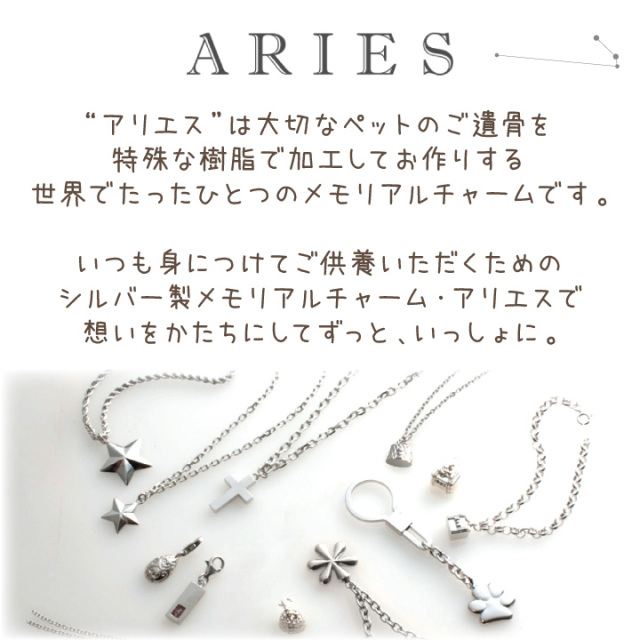 ペット 遺骨 アクセサリー TWINKLE(S) チャーム 単品 星 スター 
