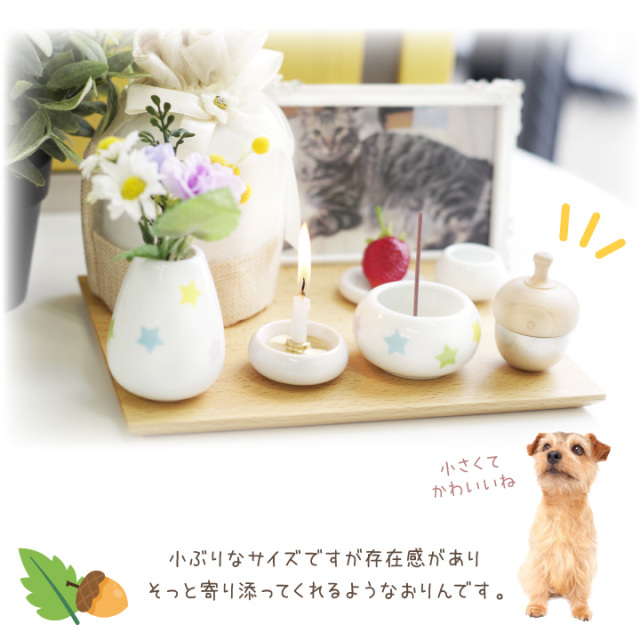 どんぐり コメント遅いです様 懐かしめ 