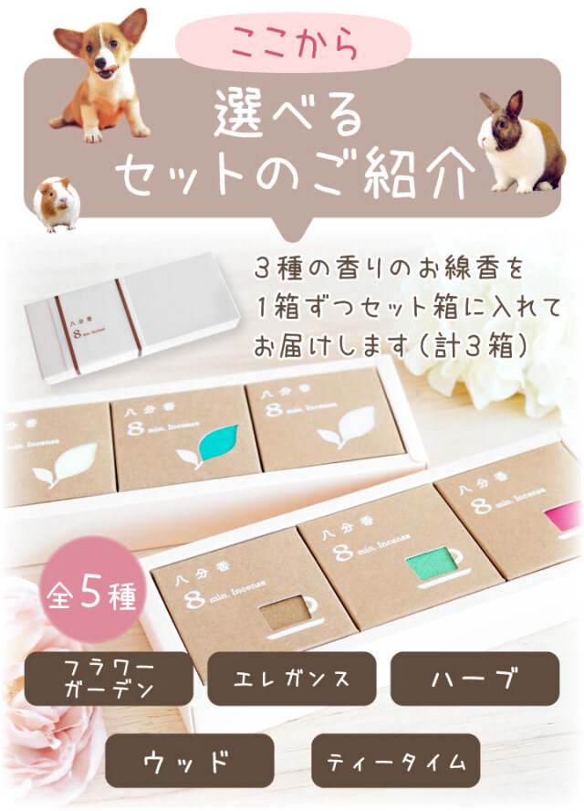 り。　みか45個　宗40個 り。 みか45個 宗40個 Z/X -Zillions of enemy X- EXパック第