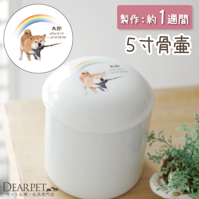 ペット骨壷 虹の橋骨壷 5寸 サイズ