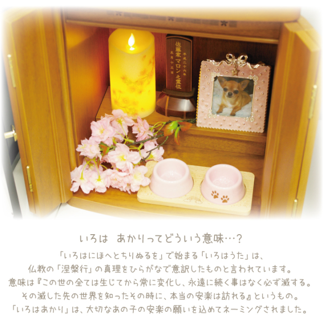 ペット仏具 いろはあかり 桜 LED 電子ろうそく 桜特集