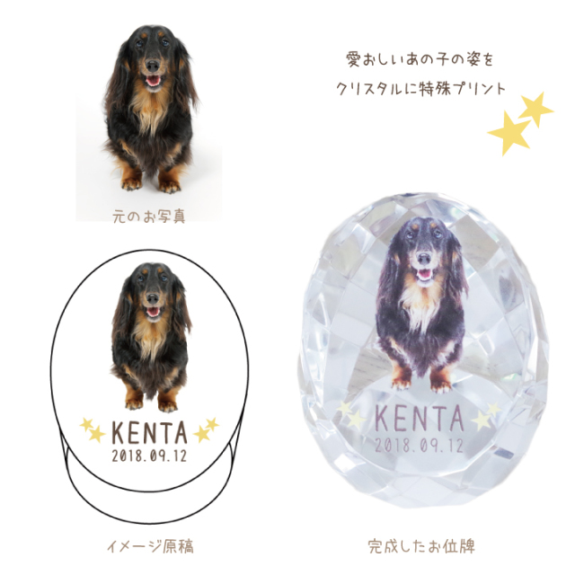 ペット位牌 オーバル お位牌 かわいい カラー ガラス クリスタル ペット ペット仏具 ペット供養 メモリアル 写真 動物 名入れ 小さい 急ぎ 手のり 早い 特製box付 犬 猫 記念碑 遺影 超激得sale クリスタル
