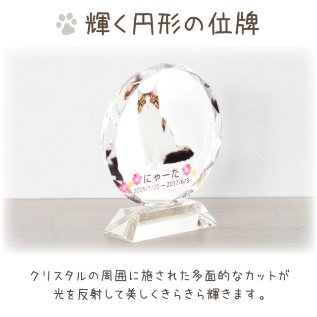 ペット位牌 クリスタルの位牌 ミニ DP-2