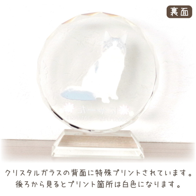 ペット位牌 クリスタルの位牌 ミニ DP-2