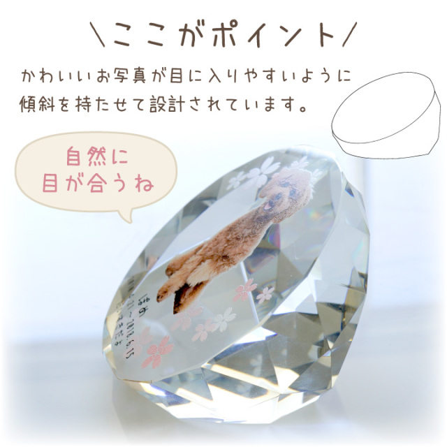 ペット 位牌 ルチアクリスタル 写真 名前 年月日 メッセージ 特製box付