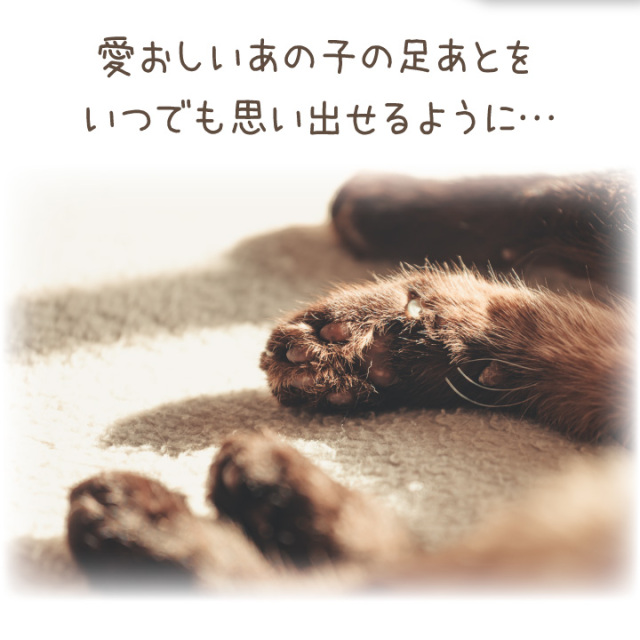 ペット用 足あと スタンプ キット 足型 記念 足跡 汚れない ネコポス対応