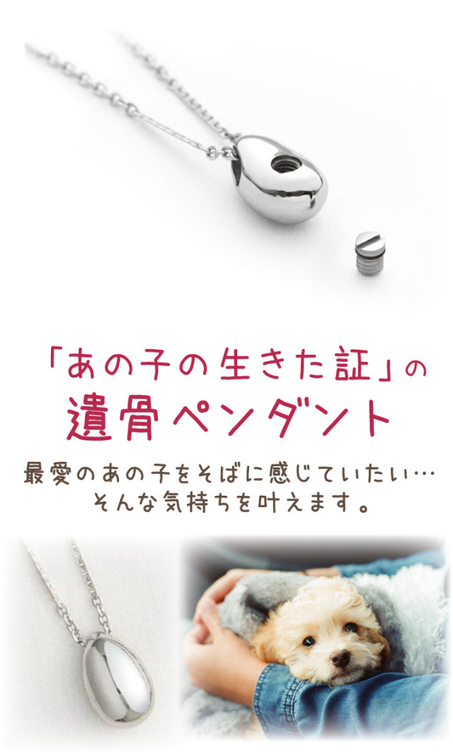 5％ポイント還元】ペット 遺骨ペンダント ステンレス プチ