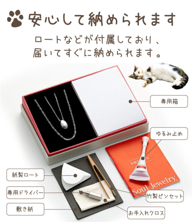 5％ポイント還元】ペット 遺骨ペンダント ステンレス モワ チェーン2