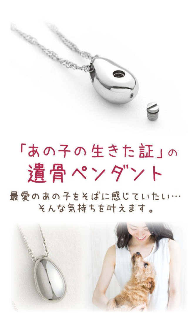 5％ポイント還元】ペット 遺骨ペンダント ステンレス モワ チェーン2 