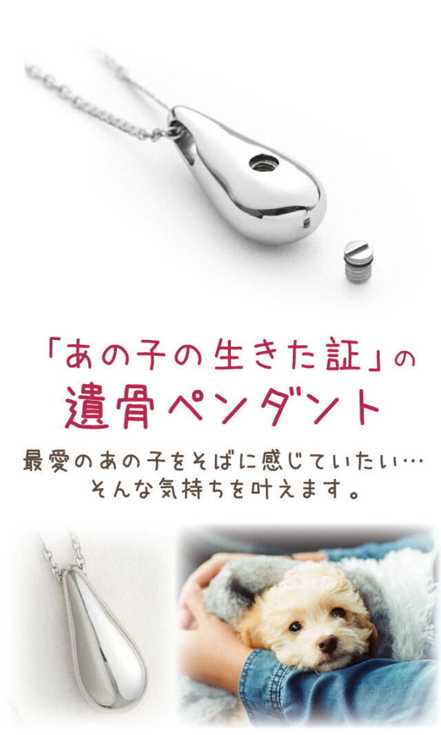 5％ポイント還元】ペット 遺骨ペンダント ステンレス グラン チェーン2