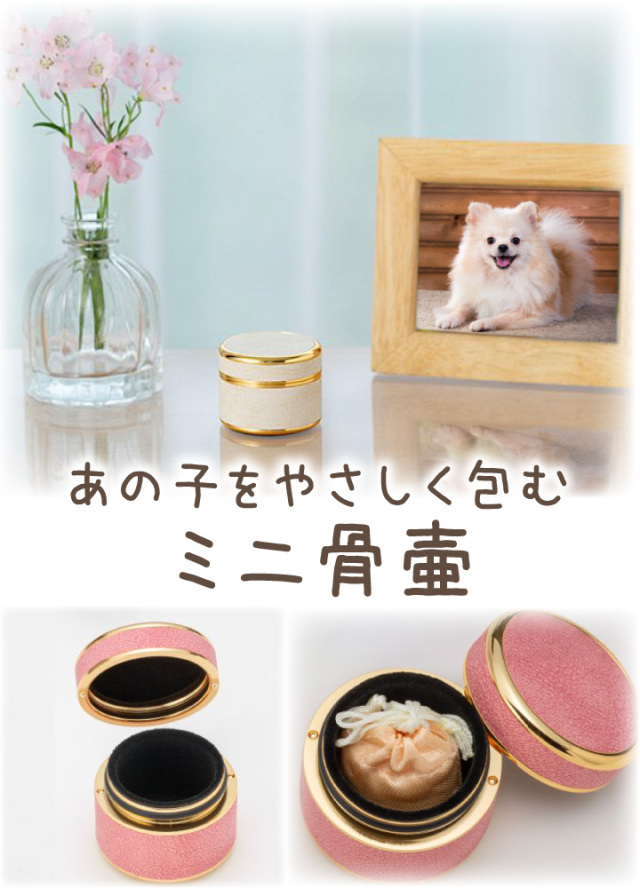 新品 米1970年代 気品溢れる彼美しい犬、イングリッシュセッター