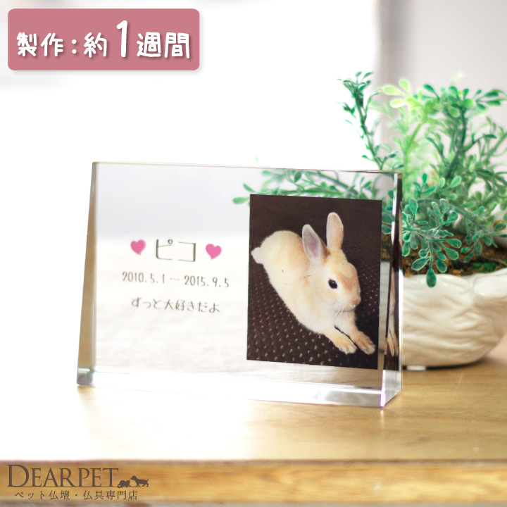 ペット位牌キャトル クリスタルDP
