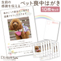 ペット 喪中はがき 印刷 名入れ無料 10枚 セット ペット用 喪中 葉書 【ネコポス対応】