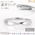 ペット 遺骨 リング 指輪 DEAR ディア "LUNOWA" HIKARIリング シルバー タイプ 3 ～ 20号 名入れ無料 樹脂 封入 15-2720 15-2721