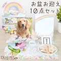 【早割600円OFF ～5/31】ペット お盆飾り お迎えセット きらきら クリスタル 精霊馬 蓮 10点 お供え お盆お迎えセット