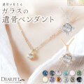 ペット 遺骨 ネックレス DEAR ディア "TSUMUGI" ポラリス ペンダント ガラス 封入 遺骨ジュエリー ペットジュエリー KNC08