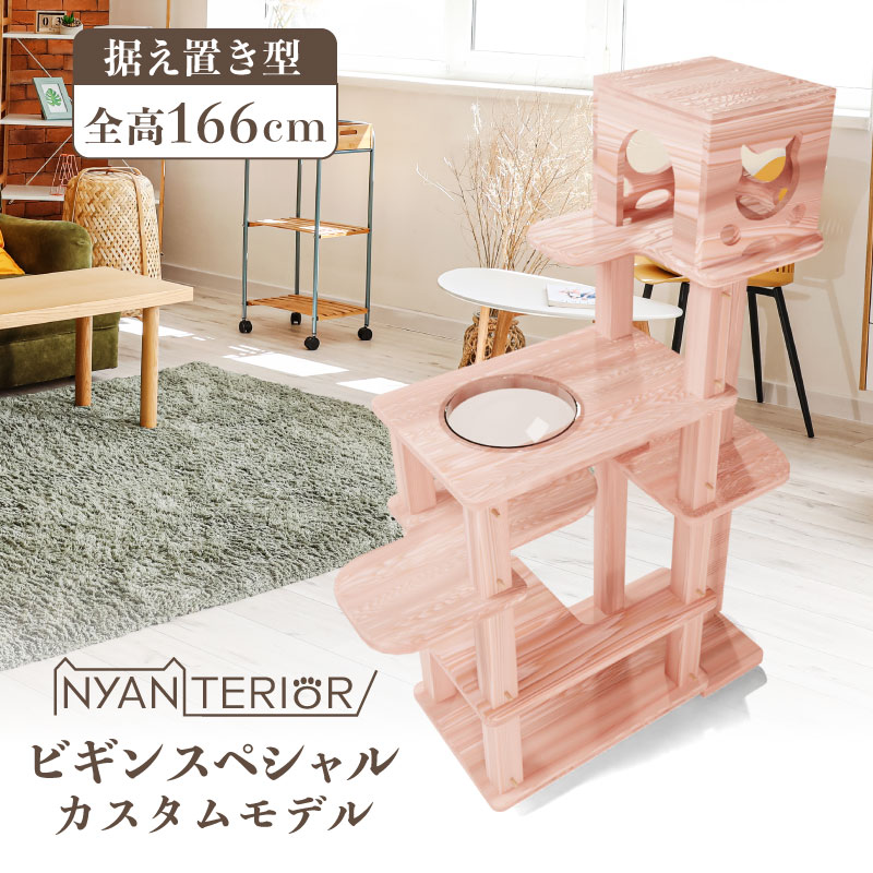 ビギン スペシャル 2025カスタムモデル