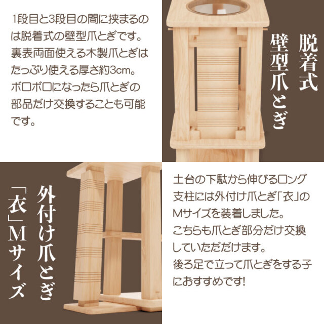 猫キャットウォーク