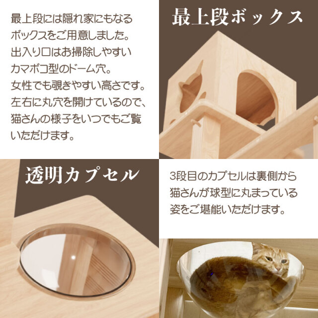キャットウォーク壁