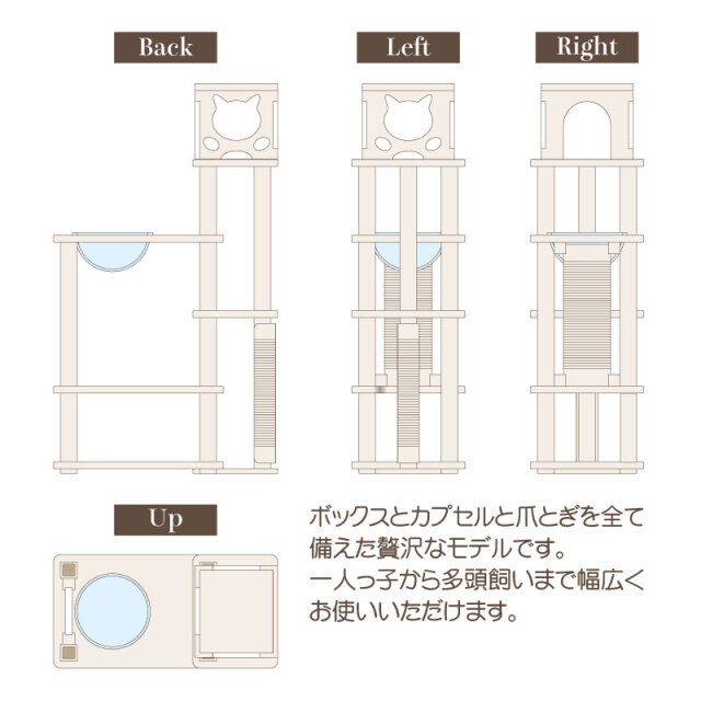 オーガニックワイン
