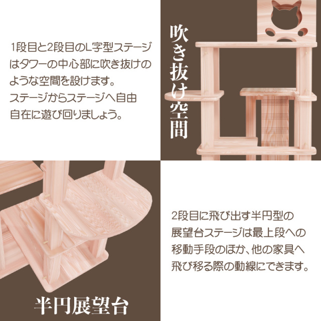 パークv3.0 ボックスモデル