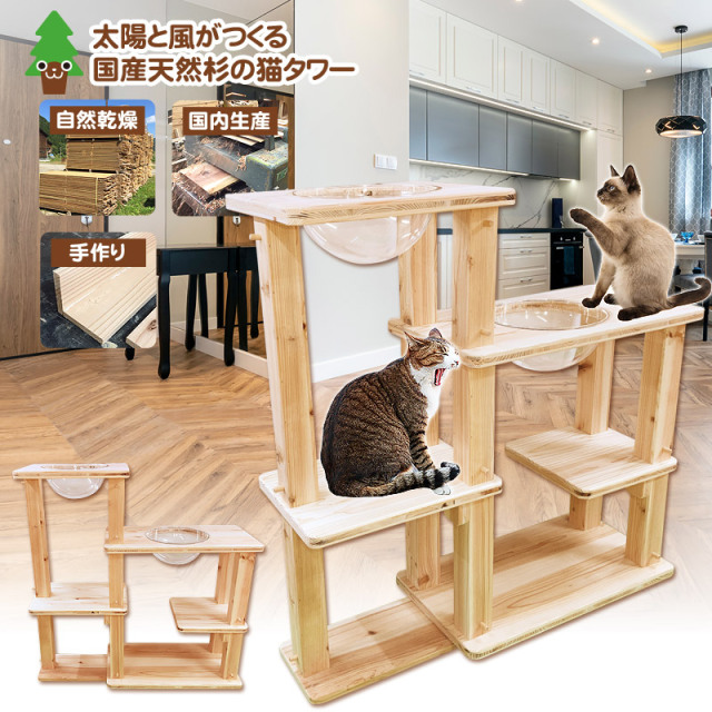 杉にゃん 空の秘密基地