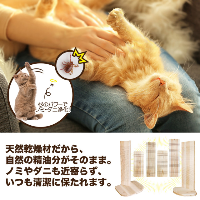 本能の爪とぎ 縦型入隅