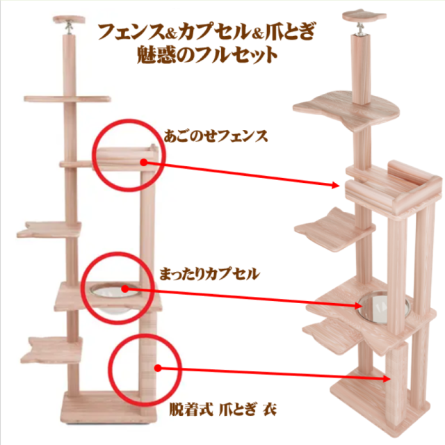 リプレドリーム第二画像