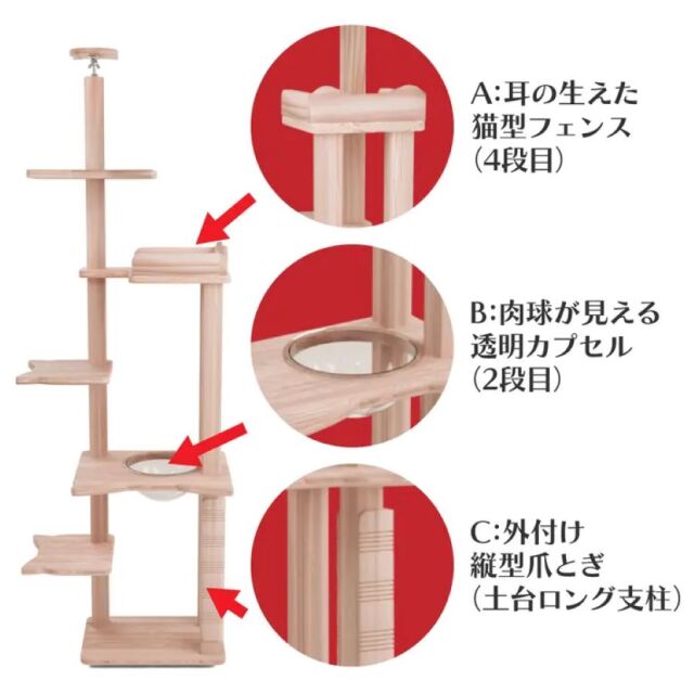 リプレドリーム第三画像