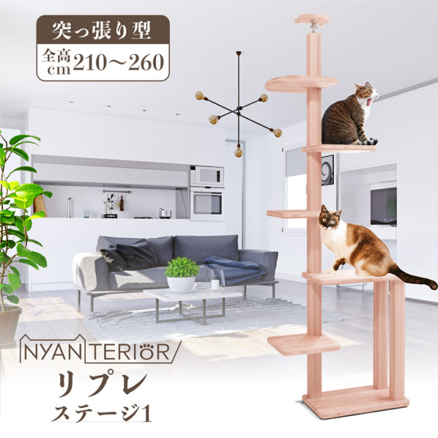 リリにゃん【オーダー】商品です。 リプレ ドリーム フルセットモデル