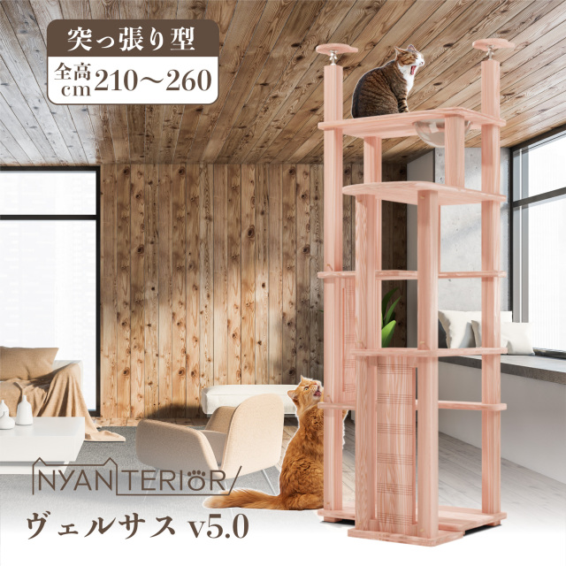 キャットタワープレゼント