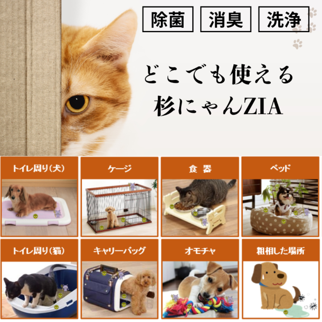杉にゃんZIA　メイン紹介文２